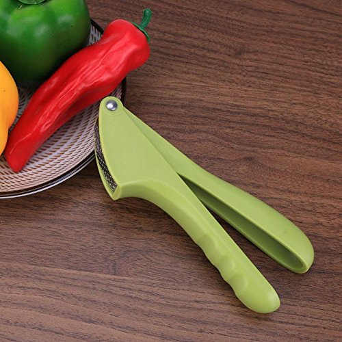 Hand Press Ginger Slicer Garlic Crusher Home Cooking Kitchen Accessories