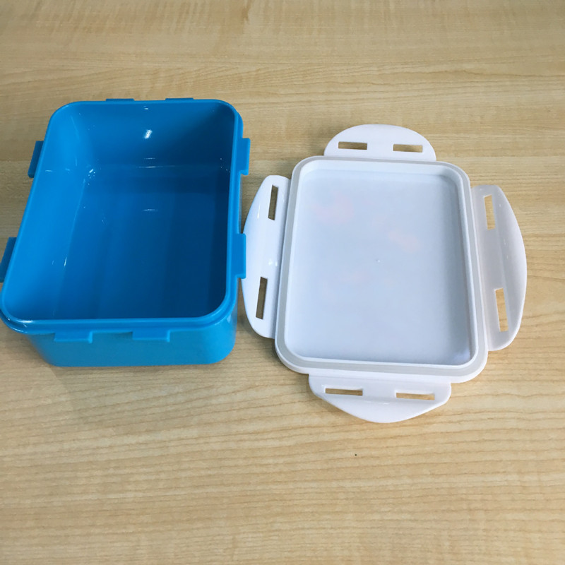 Plastic Lunch Box Food Storage Containers with Lids BPA Free